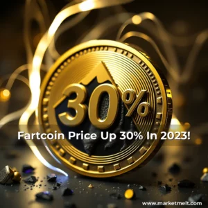 Read more about the article Fartcoin Price Up 30% In 2023!