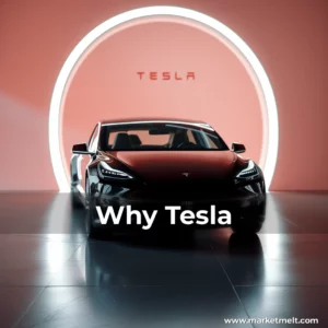 Read more about the article Why Tesla